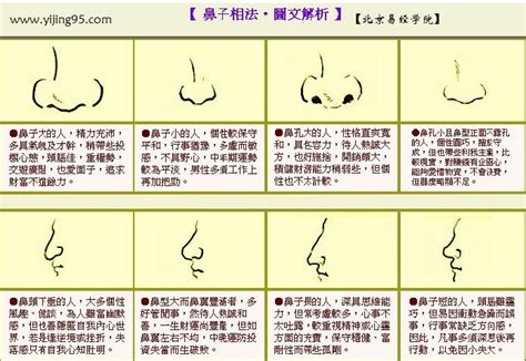 三角形鼻子面相|鼻型面相看健康運